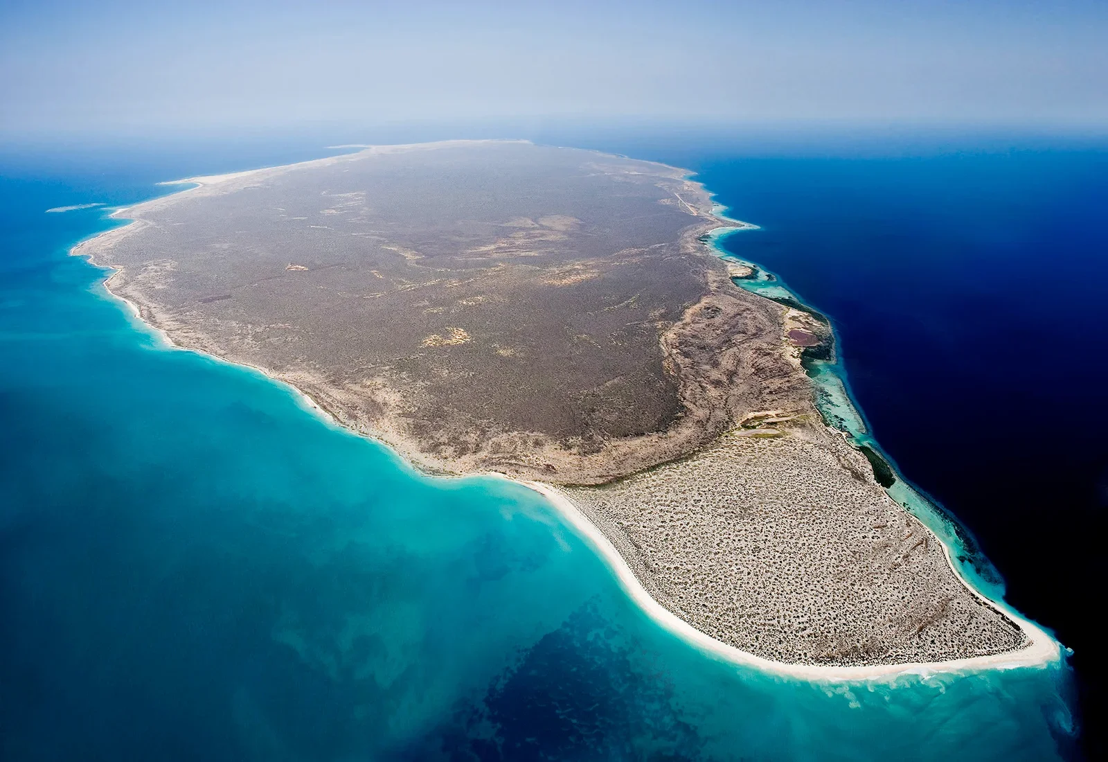 Isla La Tortuga